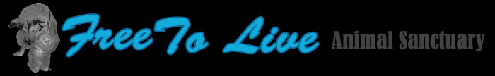 Free to Live Foundation logo