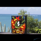 The Shopper Outdoor kiln formed glass sculpture titled "The Shopper" in St. Croix, U.S. Virgin Islands